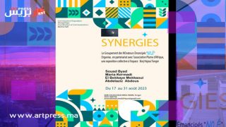 تحت عنوان”Synergies” معرض جماعي بفضاء برج الحجوي بطنجة