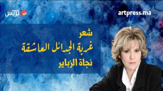 واحة الشعر .. غربة الجدائل العاشقة قصيدة للشاعرة نجاة الزباير