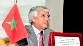 القطاع الفلاحي بإفريقيا .. السيد صديقي يبرز الحاجة الملحة لاستراتيجيات تكييف متينة