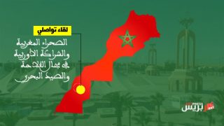 المعرض الدولي للفلاحة بمكناس : لقاء تواصلي حول الصحراء المغربية والشراكة الأوربية في مجال الفلاحة والصيد البحري