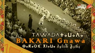 «تاوادا TAWADA» عنوان الألبوم الغنائي الجديد لمجموعة بكري كناوة