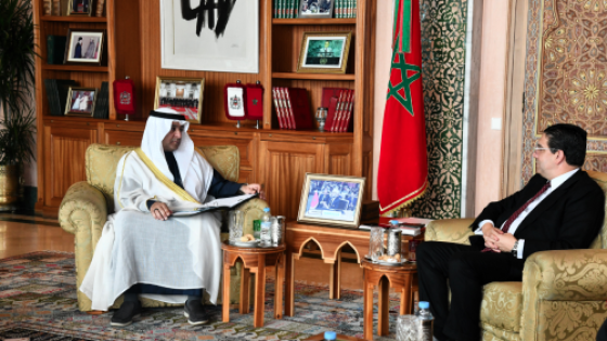 السيد بوريطة يستقبل الأمين العام لمجلس التعاون لدول الخليج العربية